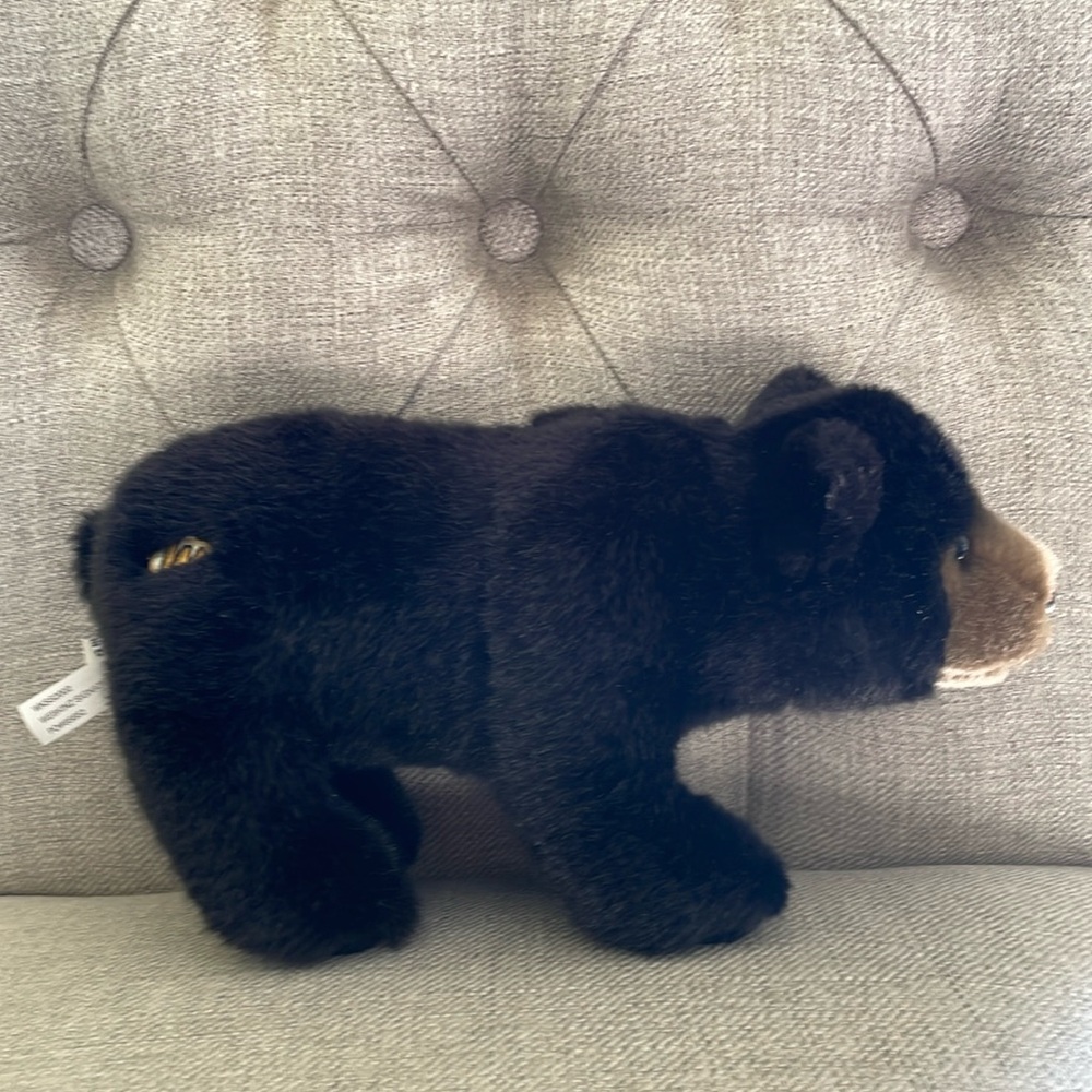 Webkinz Signature Black Bear